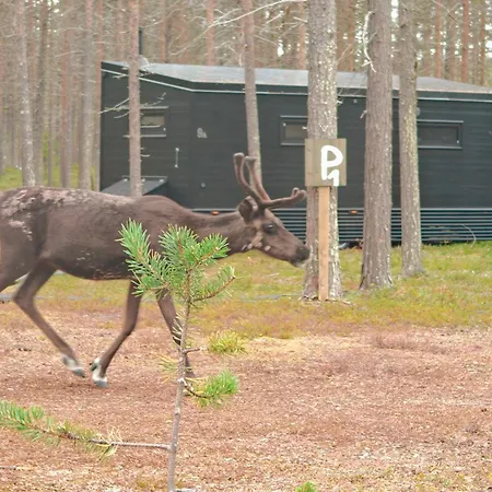 Lapland Riverside, Landscape Cabin, Kuukkeli, Yllaes, Tiny With Sauna, Fireplace, Terrace, Bbq, Wifi, Ski, Fishing, Pets Ok 度假居 *